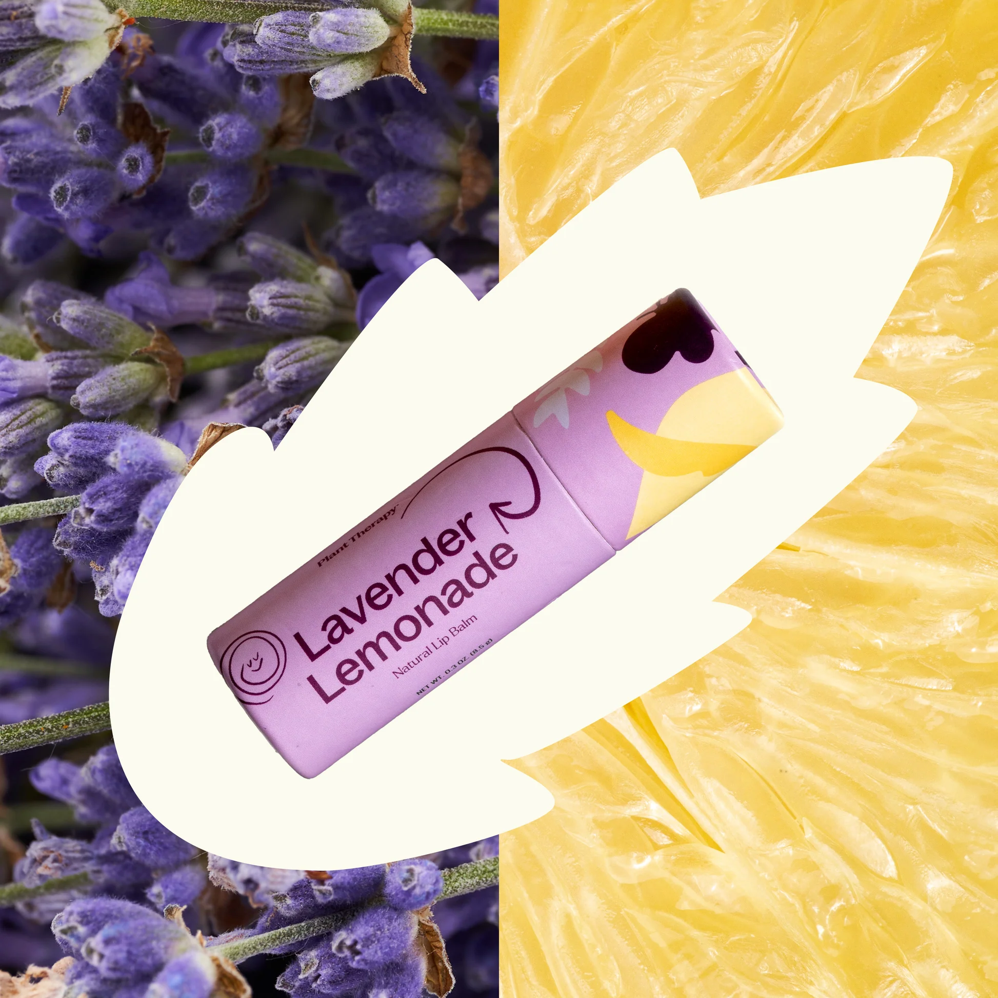Plant Therapy Love Your Lips Natural Lip Balm Trio Set
