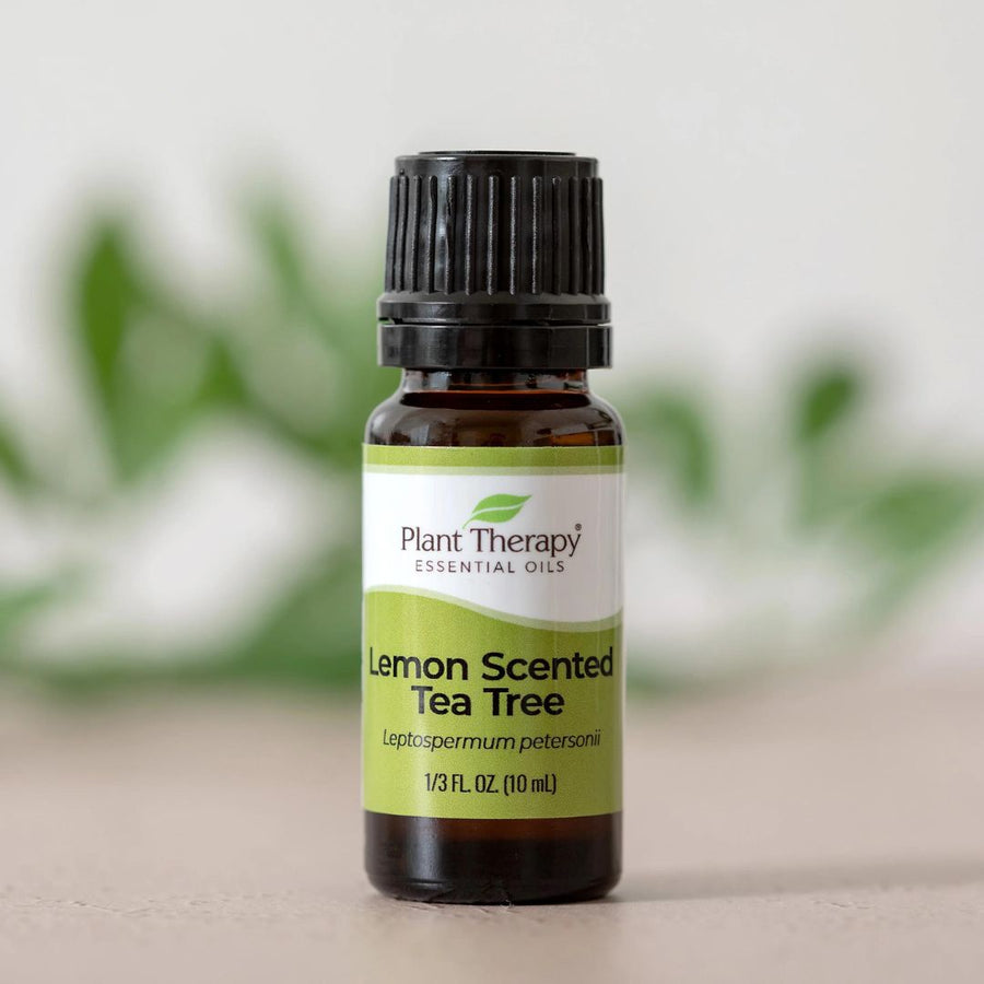 Plant Therapy Lemon Scented Tea Tree Essential Oil