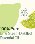 Plant Therapy Lime Steam Distilled Essential Oil