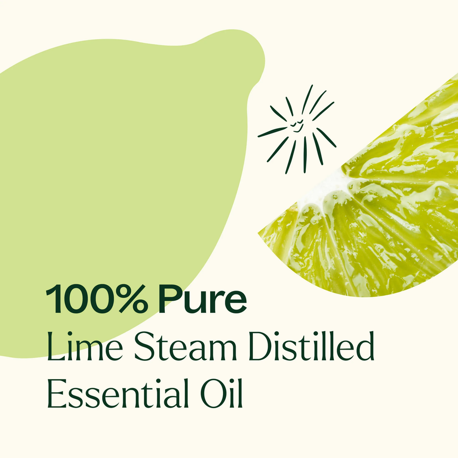 Plant Therapy Lime Steam Distilled Essential Oil