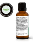 Plant Therapy Lime in the Coconut Essential Oil Blend