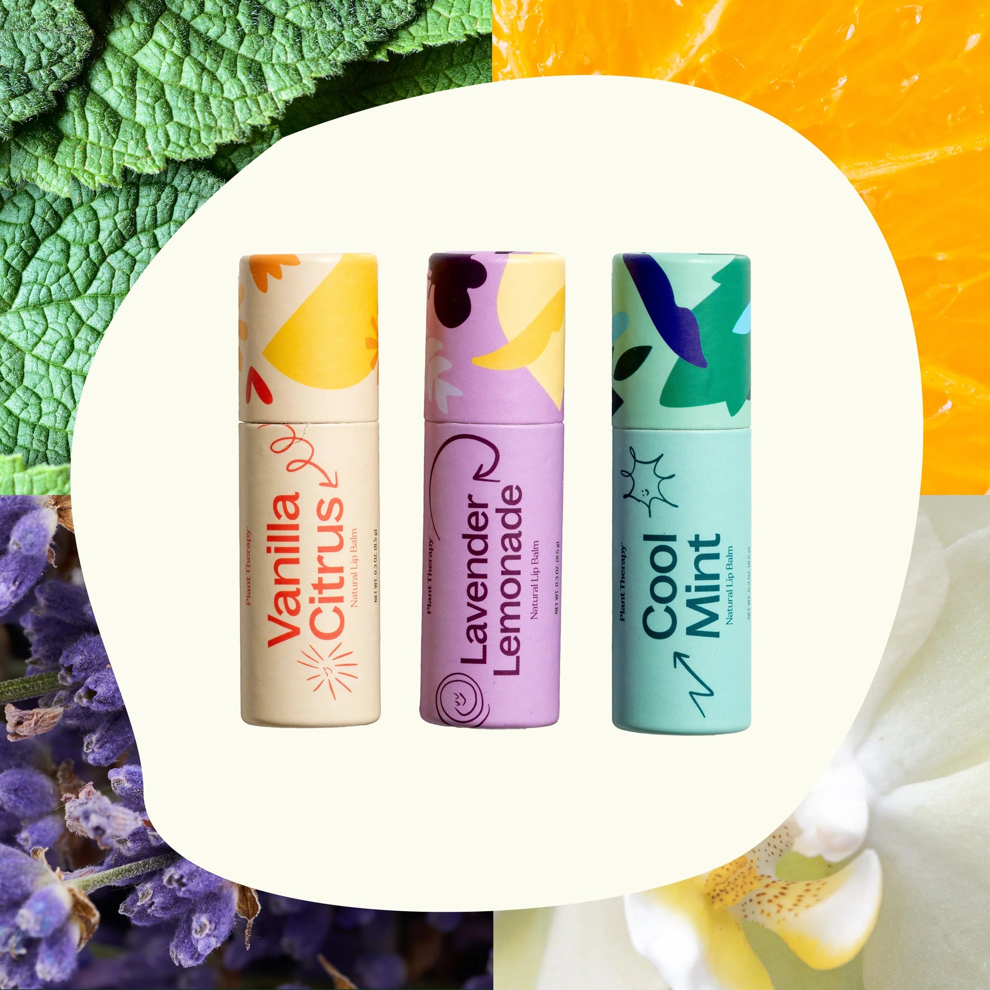 Plant Therapy Love Your Lips Natural Lip Balm Trio Set