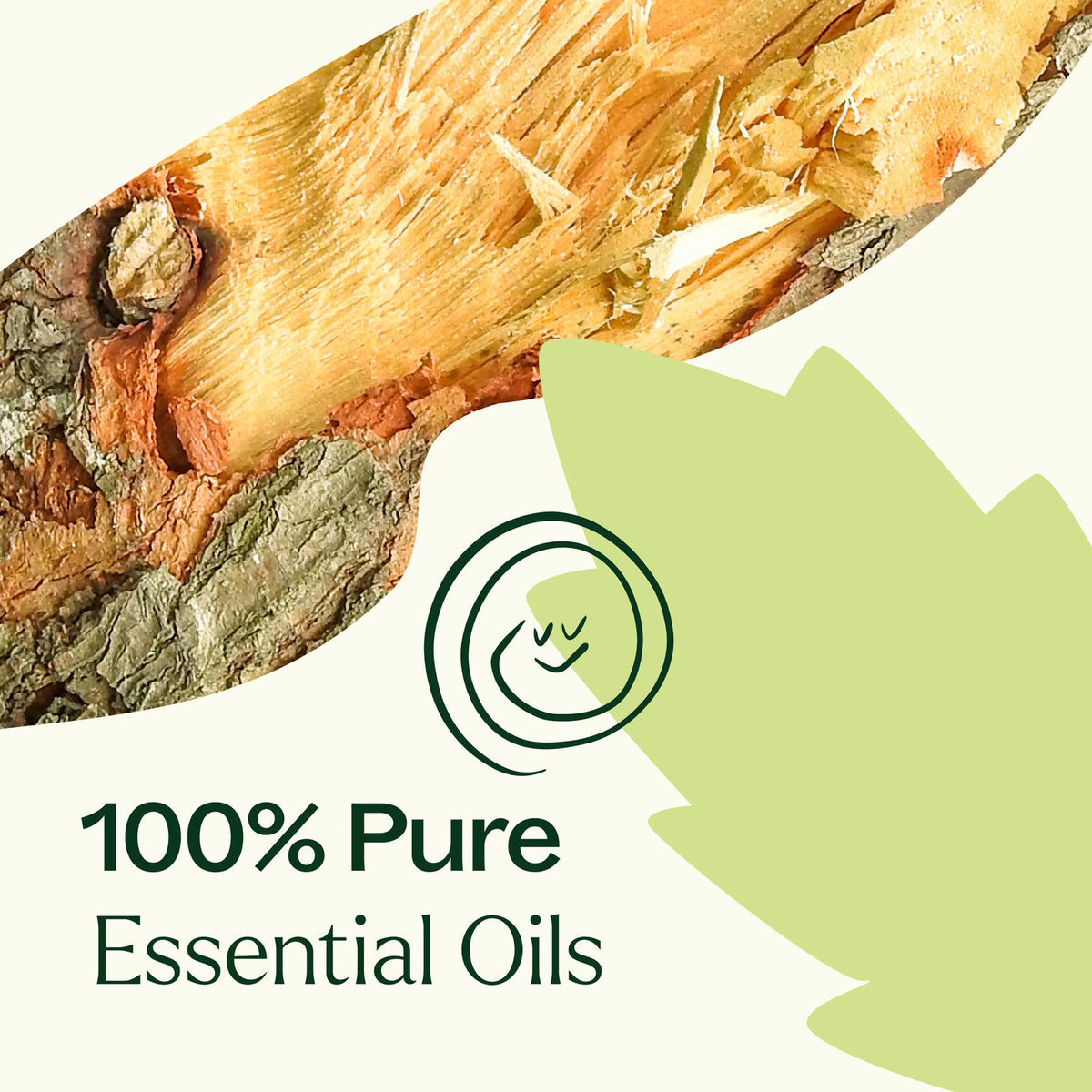 Plant Therapy Muscle Aid Essential Oil Blend
