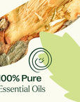 Plant Therapy Muscle Aid Essential Oil Blend
