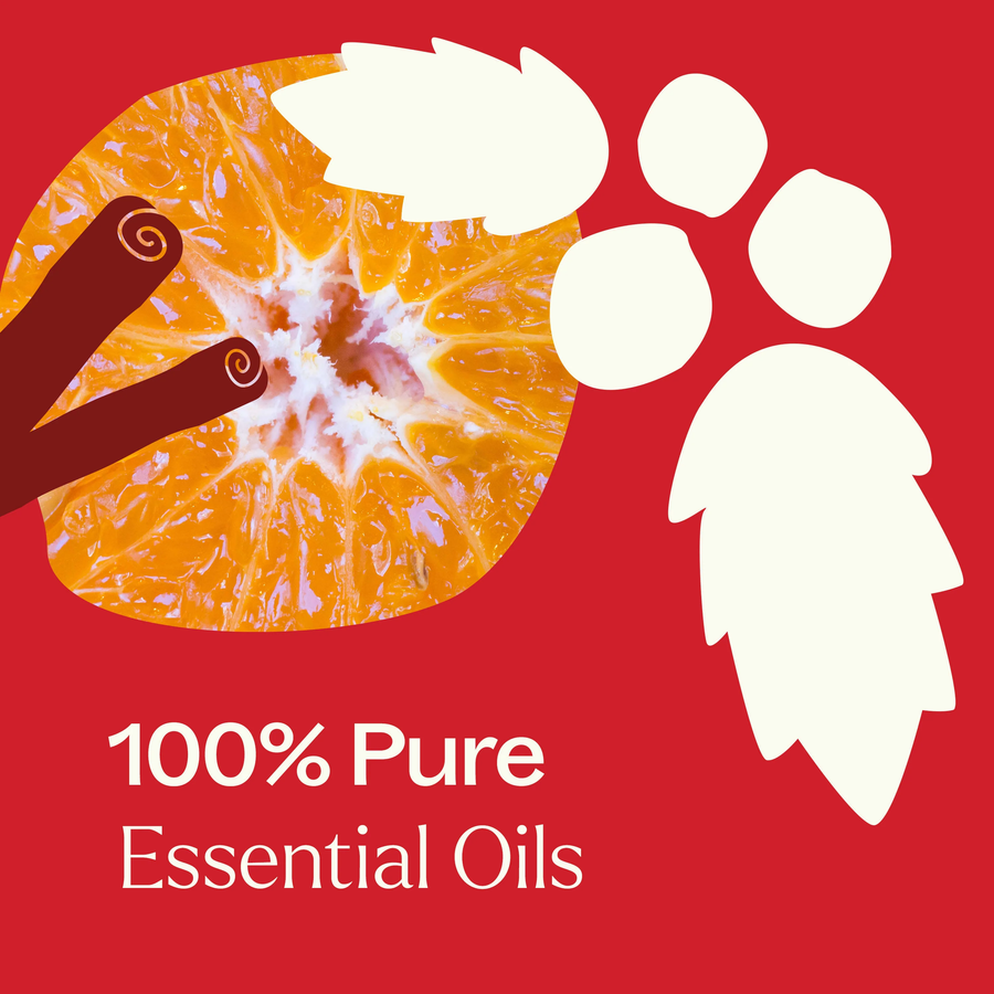 Plant Therapy Nutcracker Essential Oil Blend