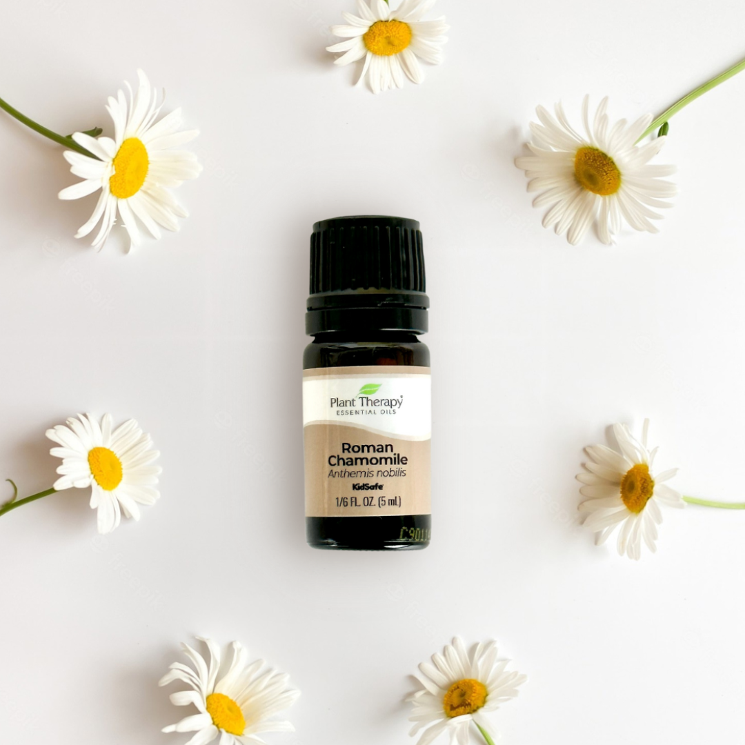 Plant Therapy Chamomile Roman Essential Oil