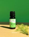 Plant Therapy Dill Weed Essential Oil