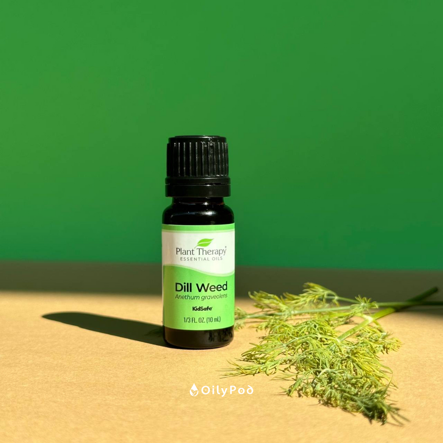 Plant Therapy Dill Weed Essential Oil