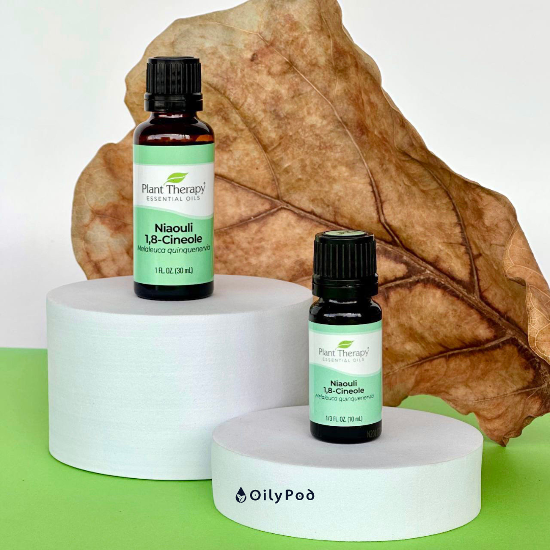 Plant Therapy Niaouli 1,8-Cineole Essential Oil