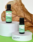 Plant Therapy Niaouli 1,8-Cineole Essential Oil
