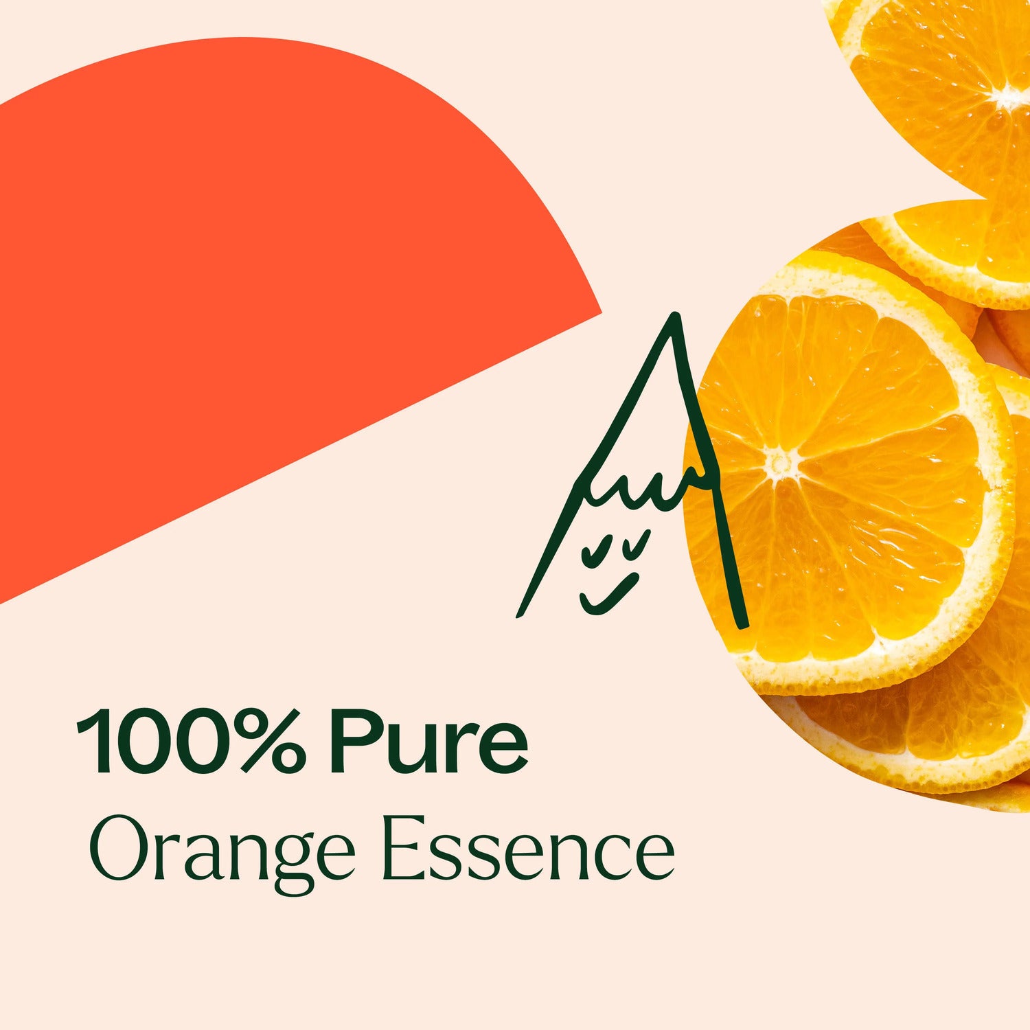 Plant Therapy Orange Essence Oil 10ml