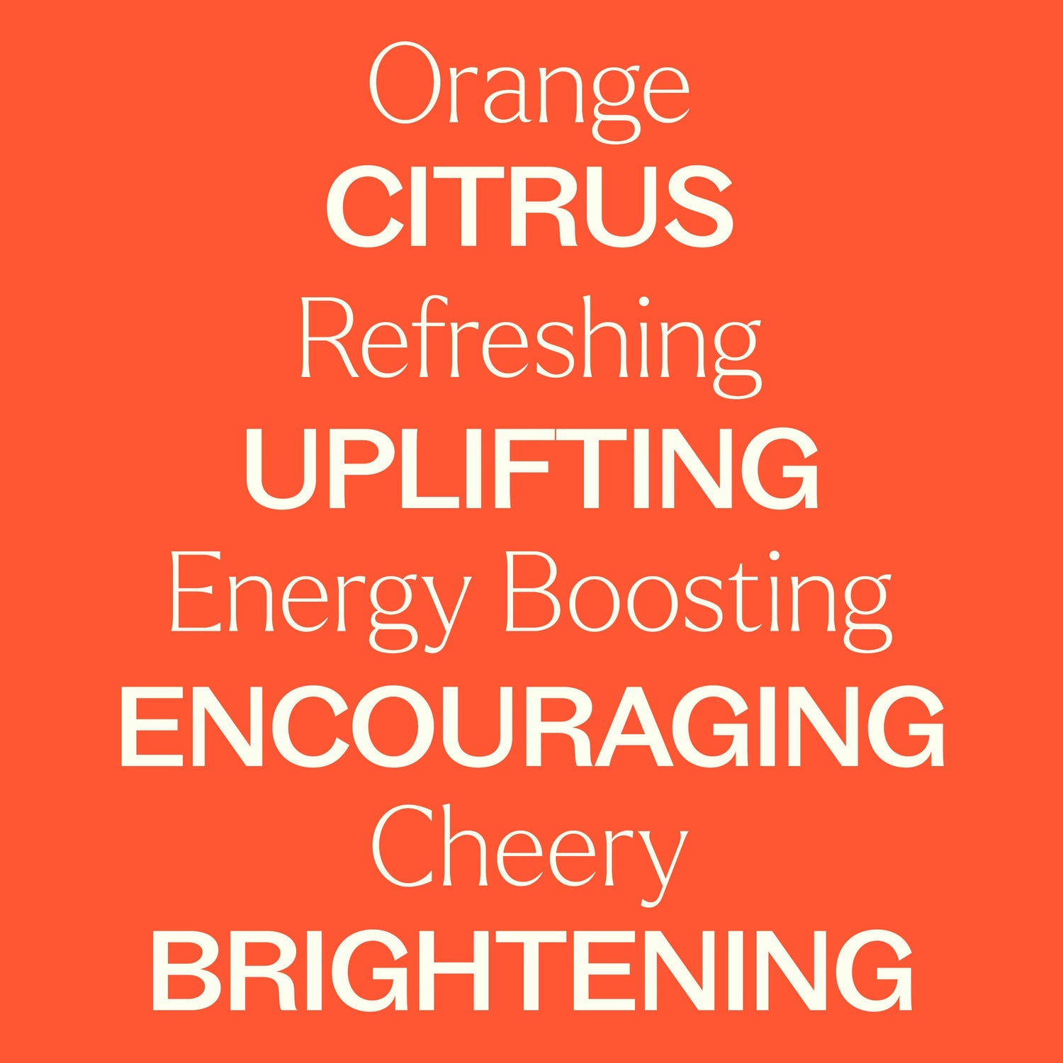Plant Therapy Orange Essence Oil 10ml