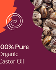 Plant Therapy Organic Castor Oil