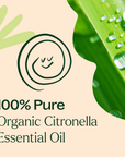 Plant Therapy Citronella Organic Essential Oil