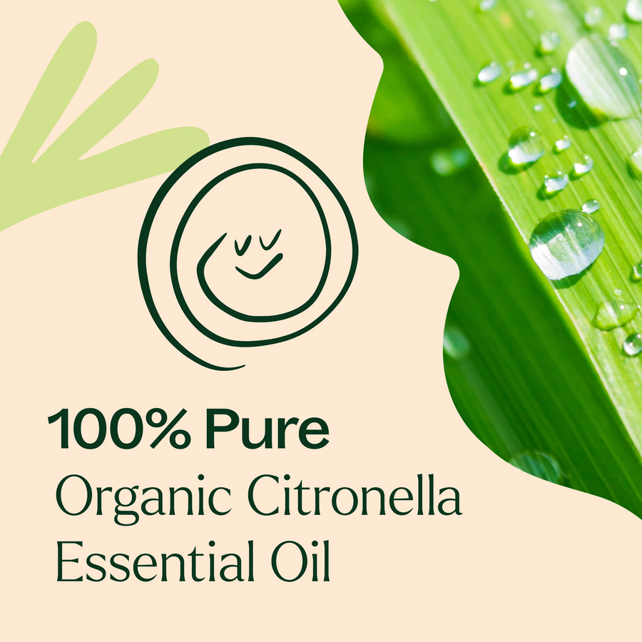 Plant Therapy Citronella Organic Essential Oil