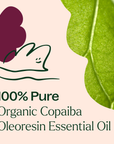 Plant Therapy Copaiba Organic Oleoresin