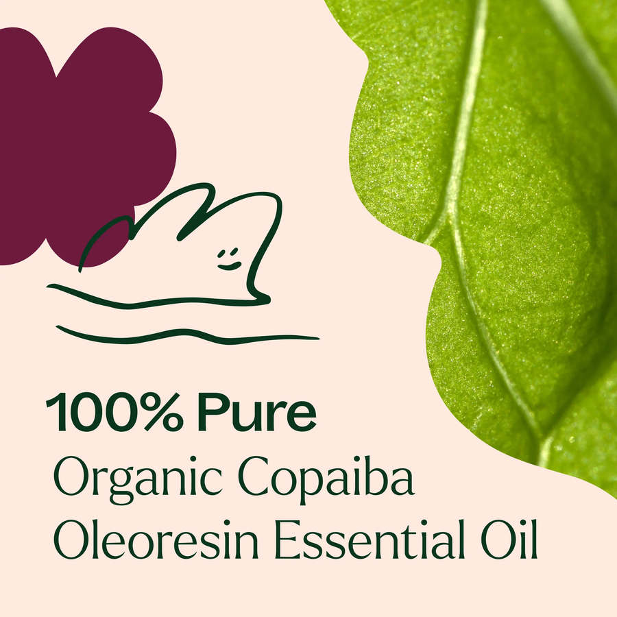 Plant Therapy Copaiba Organic Oleoresin