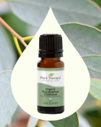 Plant Therapy Eucalyptus Globulus Organic Essential Oil