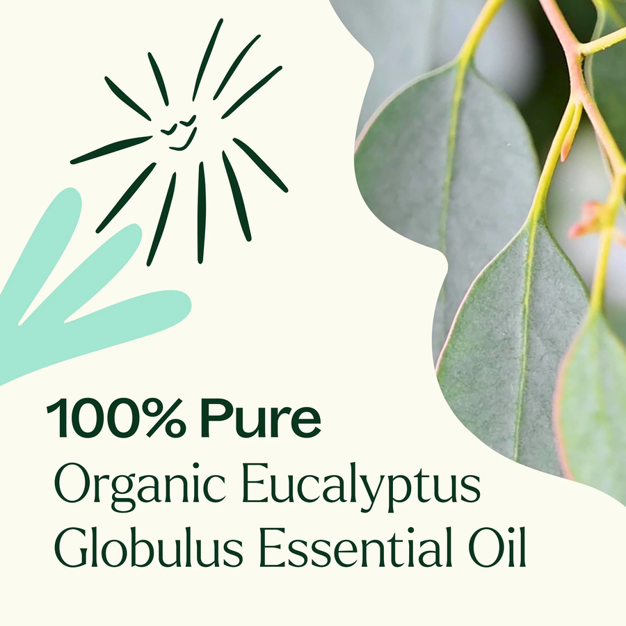 Plant Therapy Eucalyptus Globulus Organic Essential Oil