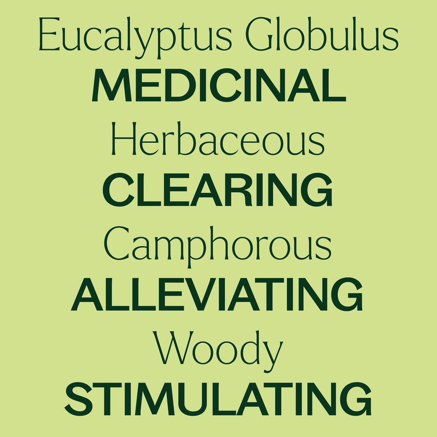 Plant Therapy Eucalyptus Globulus Organic Essential Oil