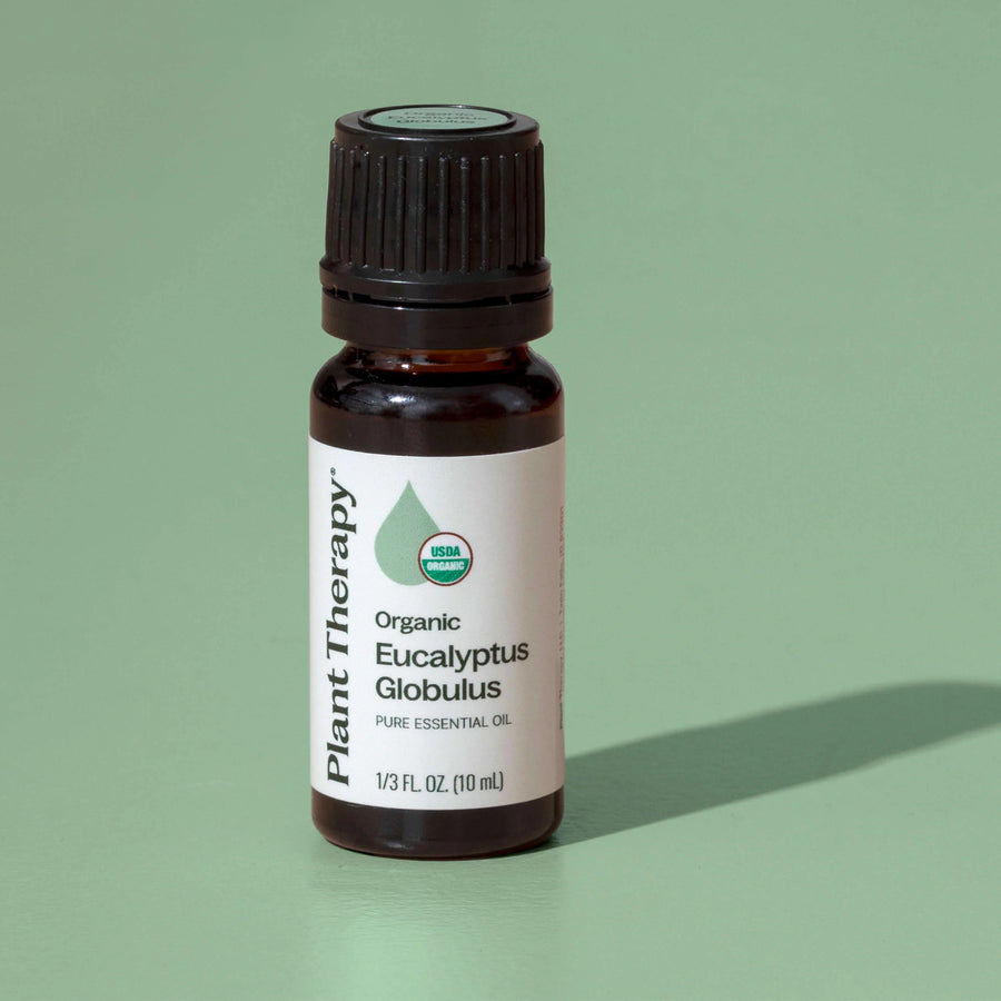 Plant Therapy Eucalyptus Globulus Organic Essential Oil