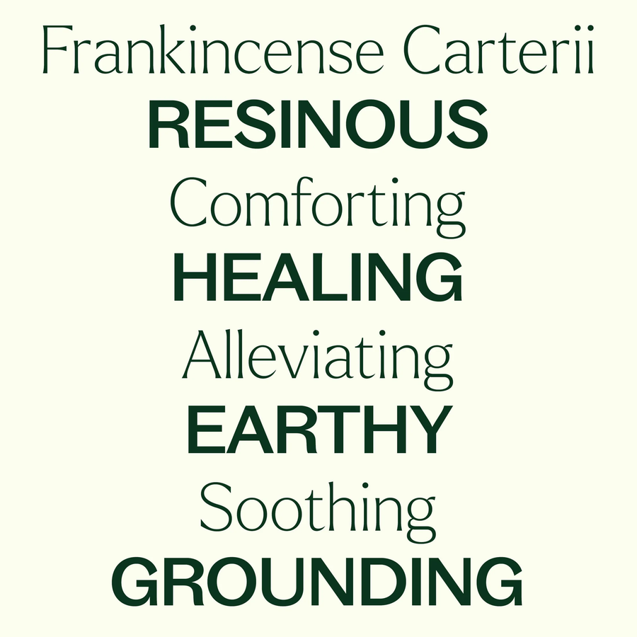 Plant Therapy Frankincense Carterii Organic Essential Oil