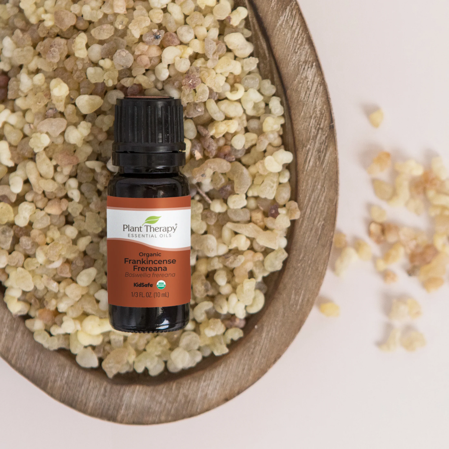 Plant Therapy Frankincense Frereana Organic Essential Oil