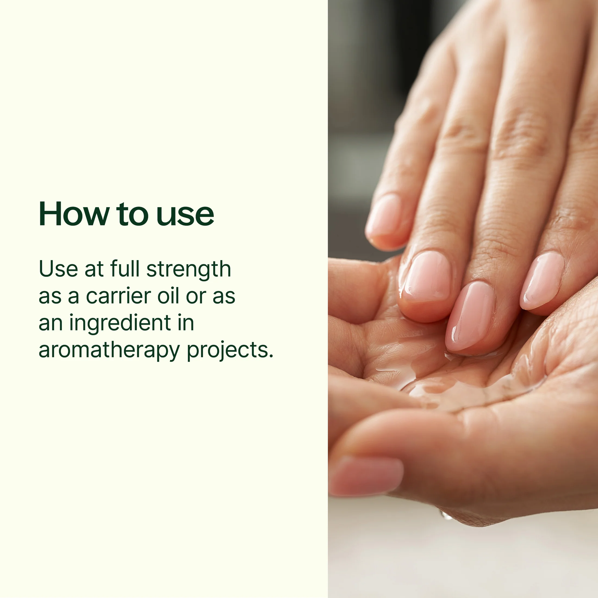 Plant Therapy Jojoba Organic Carrier Oil