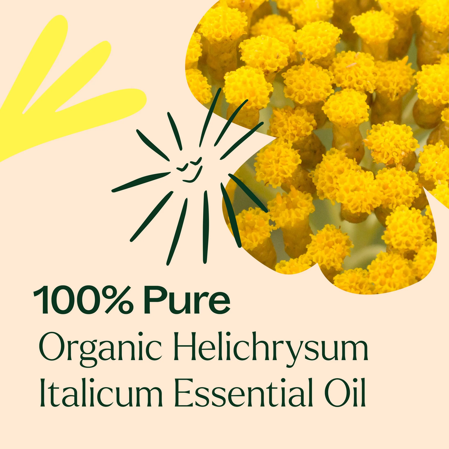 Plant Therapy Helichrysum Italicum Organic Essential Oil