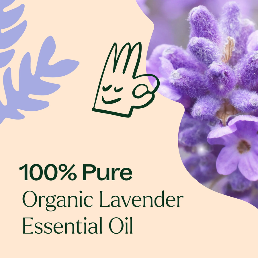 Plant Therapy Lavender Organic Essential Oil