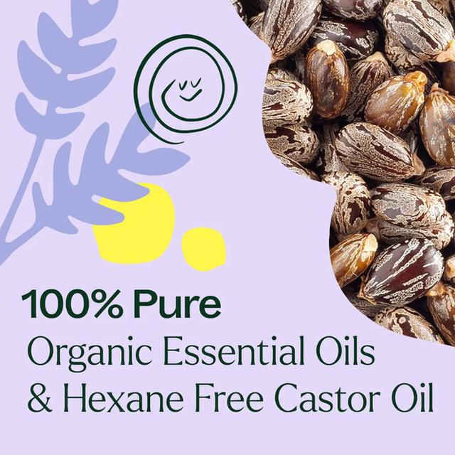 Plant Therapy Organic Lavender & Frankincense Castor Body Oil Roll-On 30 mL
