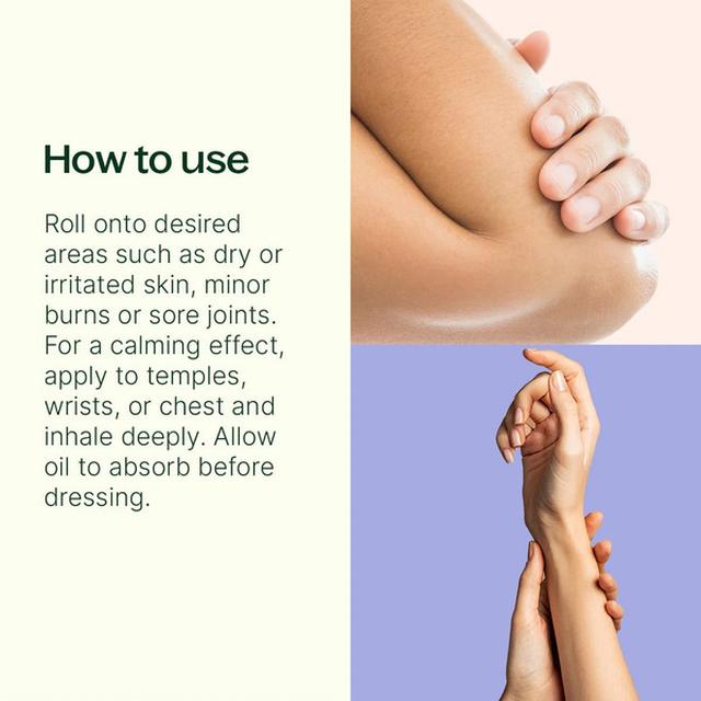 Plant Therapy Organic Lavender & Frankincense Castor Body Oil Roll-On 30 mL