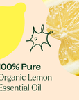 Plant Therapy Lemon Organic Essential Oil