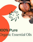 Plant Therapy Organic Orange Clove Essential Oil Blend
