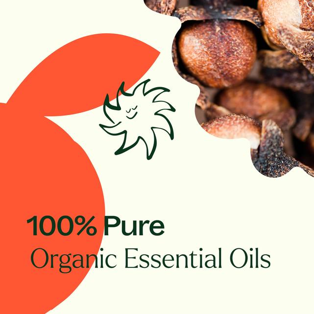 Plant Therapy Organic Orange Clove Essential Oil Blend