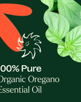 Plant Therapy Oregano Organic Essential Oil