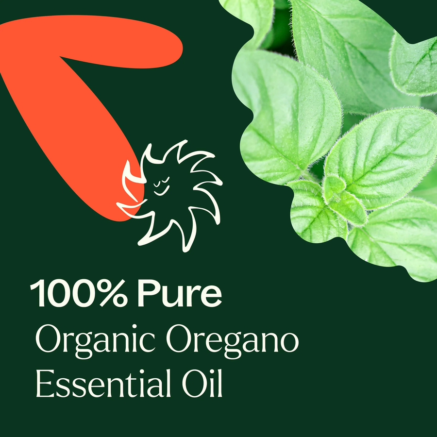 Plant Therapy Oregano Organic Essential Oil