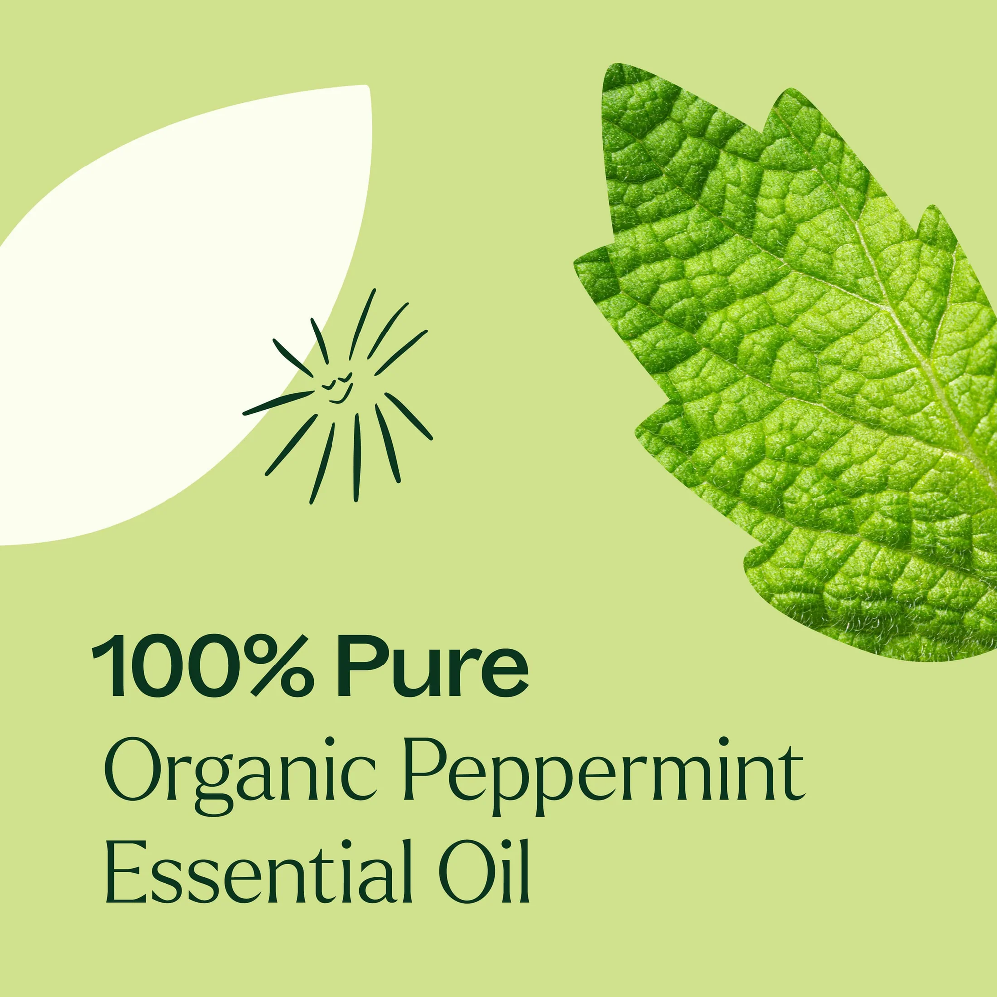 Plant Therapy Peppermint Organic Essential Oil