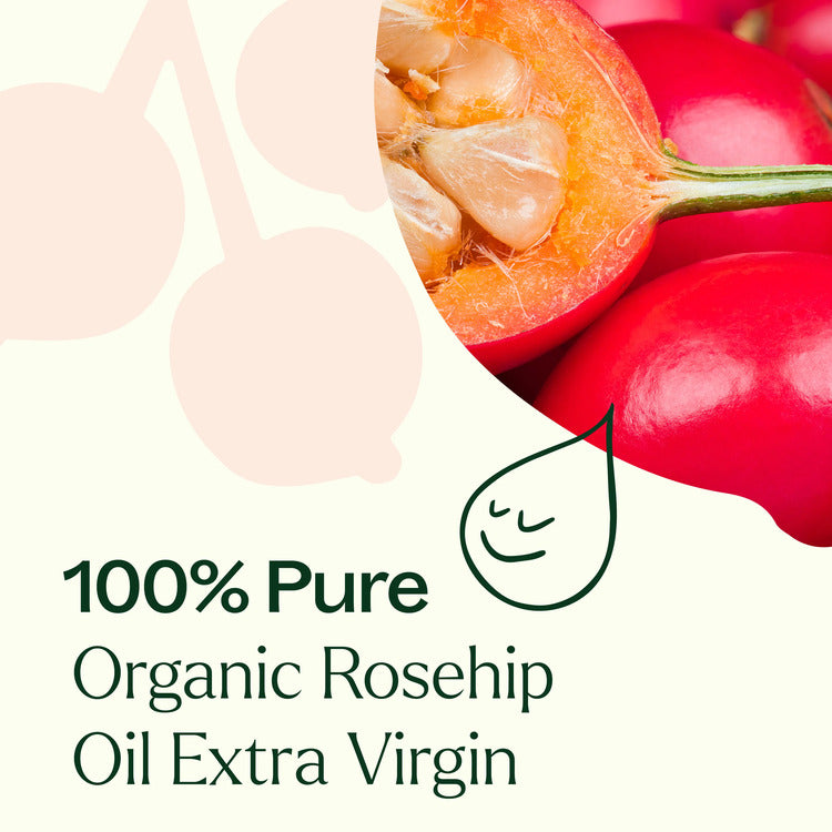 Plant Therapy Rosehip Extra Virgin Carrier Oil