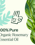 Plant Therapy Rosemary 1,8-Cineole Organic Essential Oil