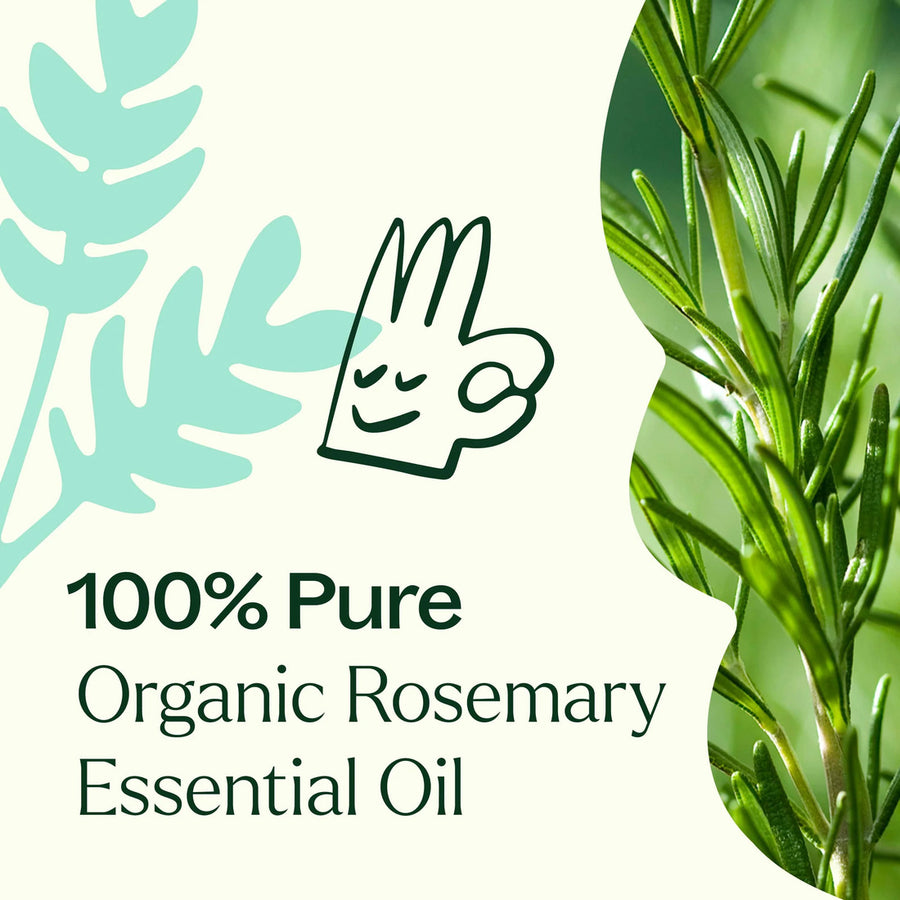 Plant Therapy Rosemary 1,8-Cineole Organic Essential Oil