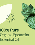 Plant Therapy Spearmint Organic Essential Oil