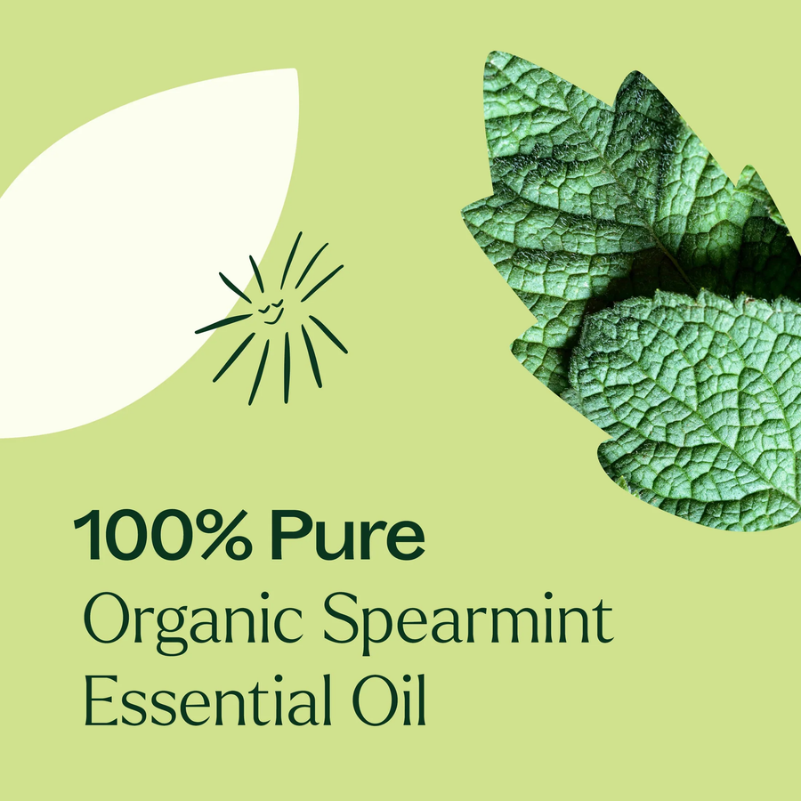 Plant Therapy Spearmint Organic Essential Oil