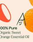 Plant Therapy Orange Sweet Organic Essential Oil