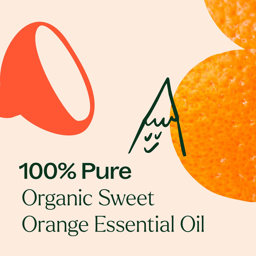 Plant Therapy Orange Sweet Organic Essential Oil