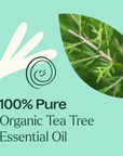 Plant Therapy Tea Tree Organic Essential Oil