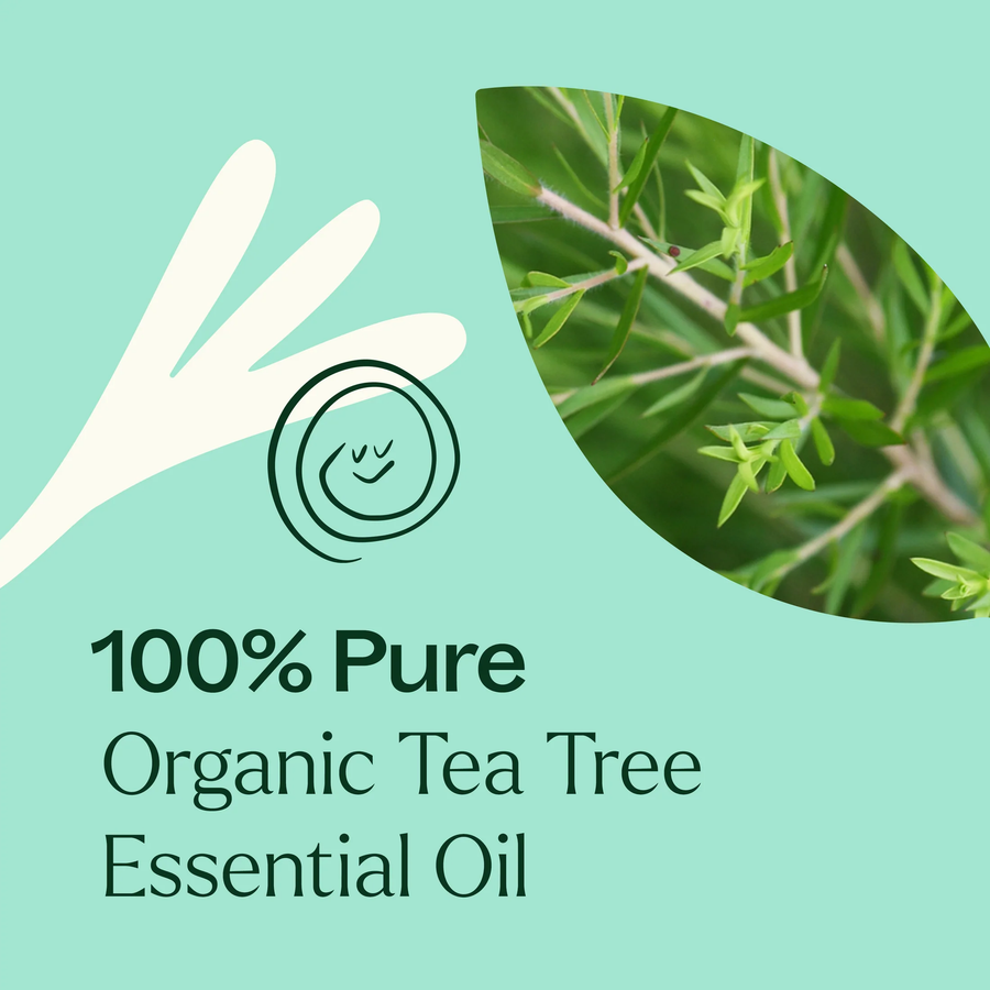 Plant Therapy Tea Tree Organic Essential Oil