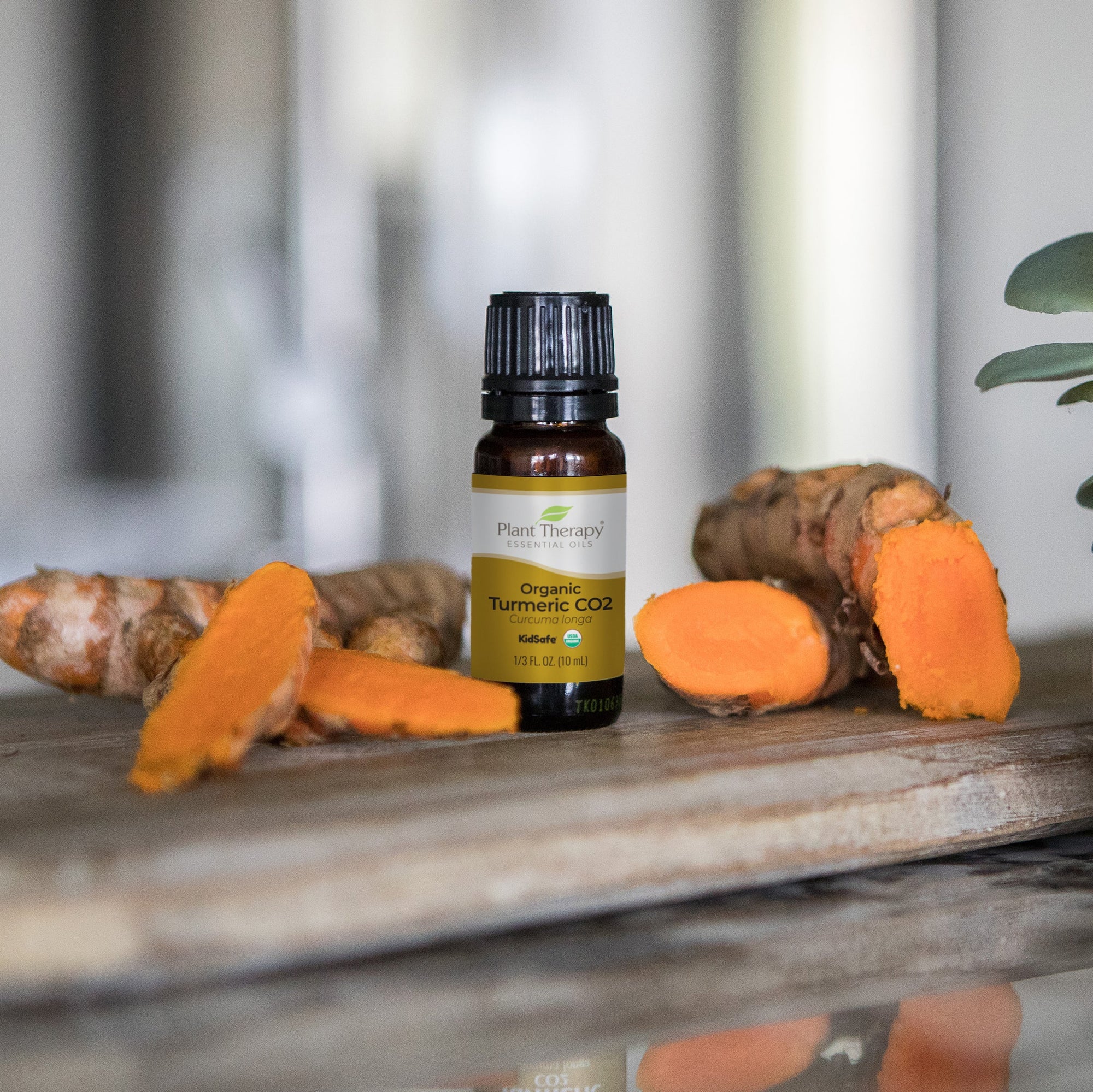 Plant Therapy Turmeric CO2 Extract Organic
