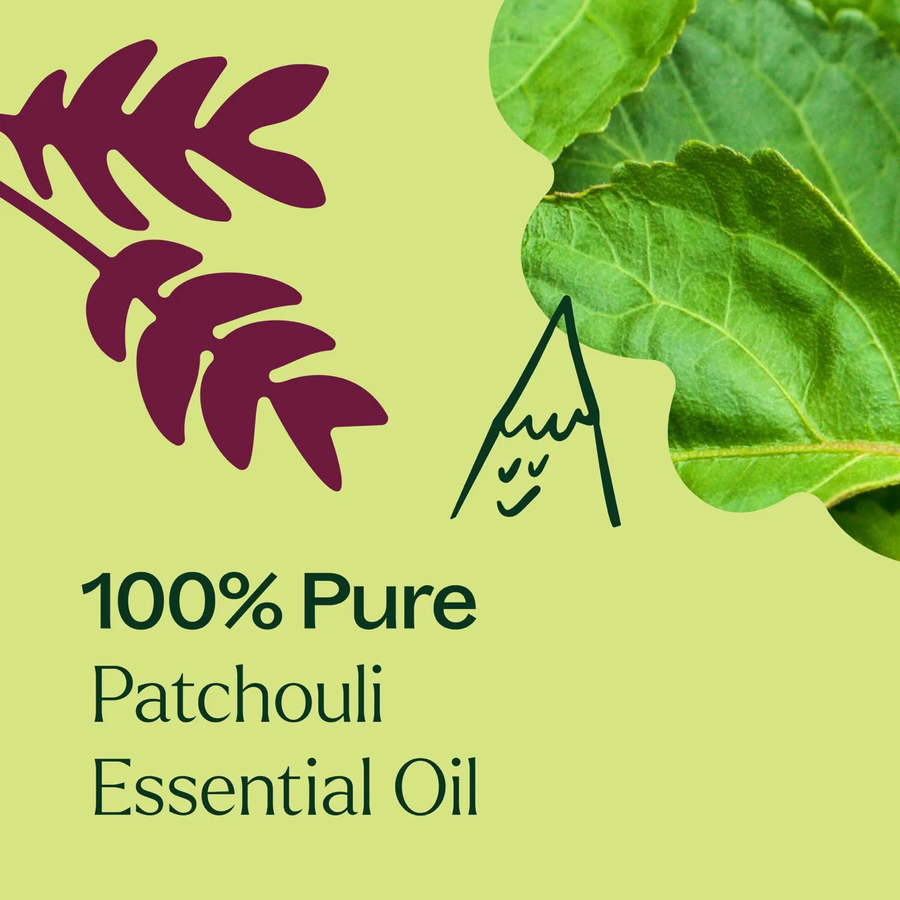 Plant Therapy Patchouli Essential Oil