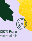 Plant Therapy Quiet Cough™ KidSafe Essential Oil Blend